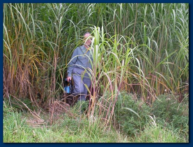 600x449 pixels (213K)